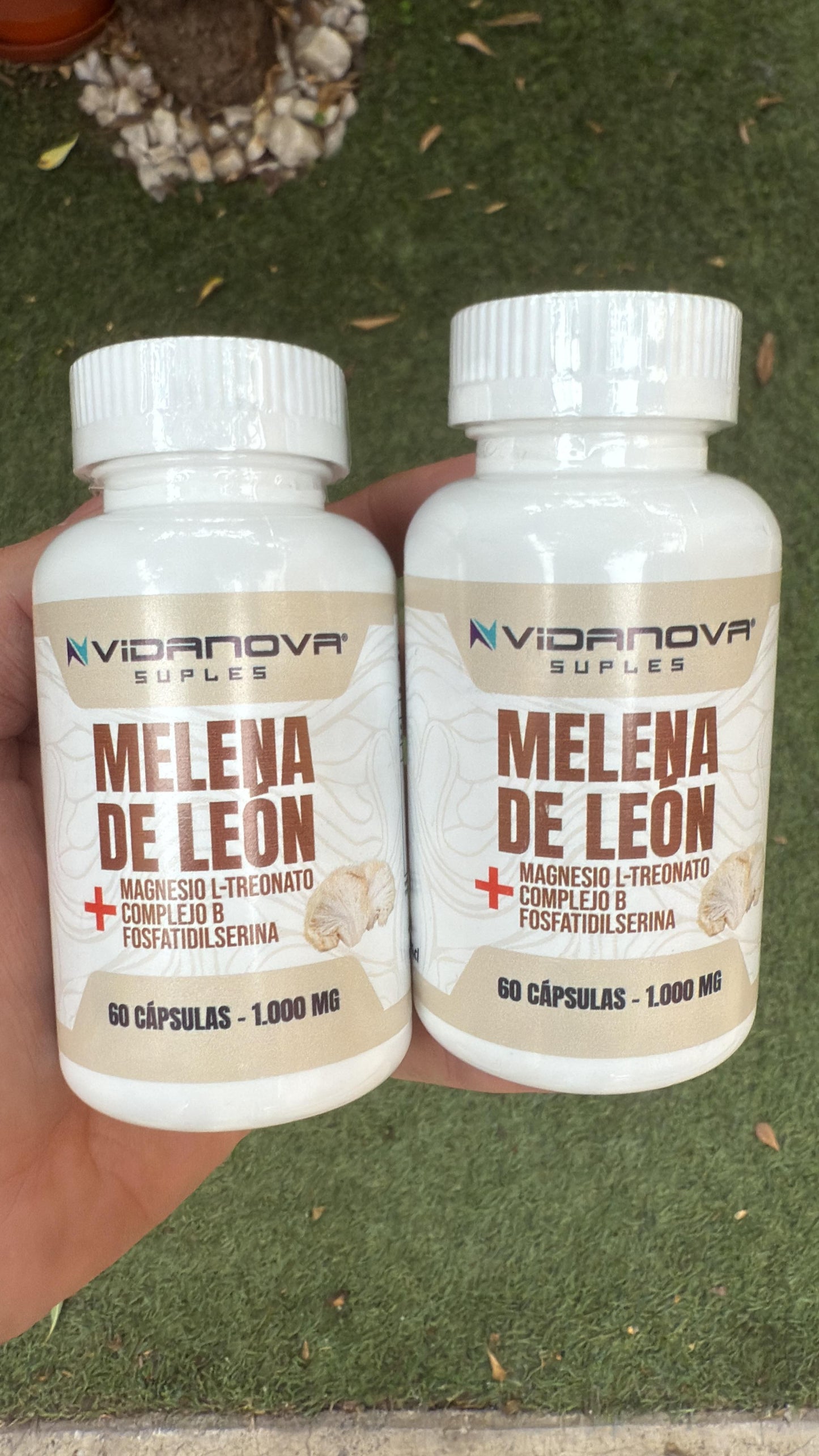 Melena de León Fortificada con Complejo B, Magnesio y Fosfatidilserina